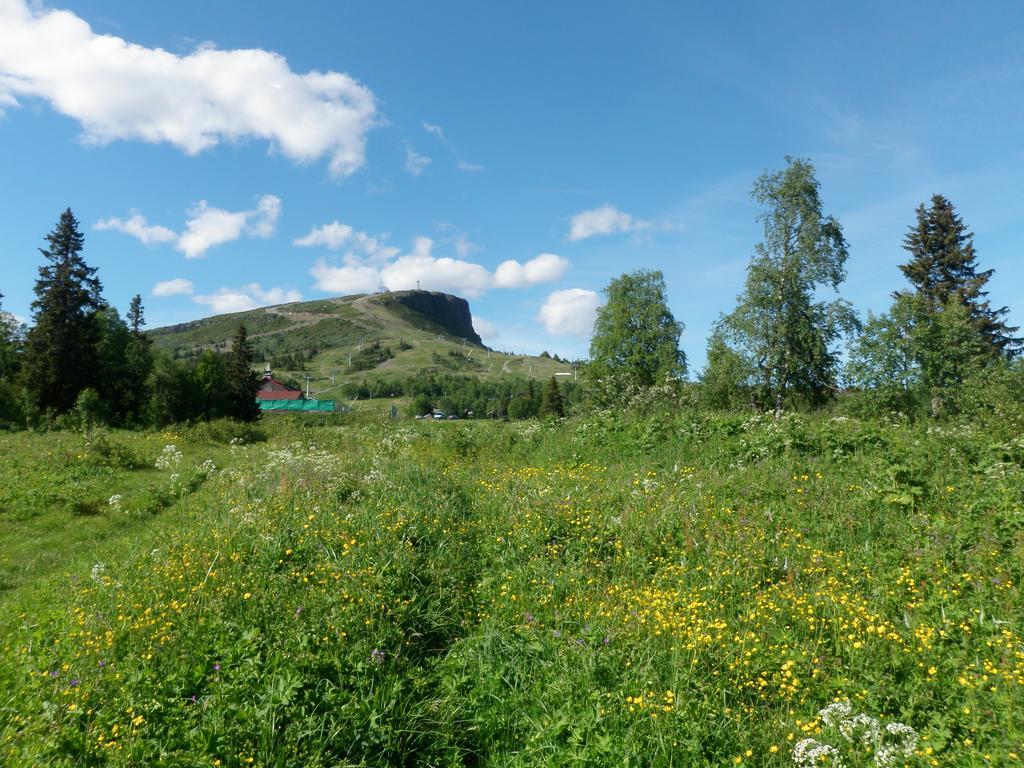 Skei Apartments Svingvoll Bagian luar foto